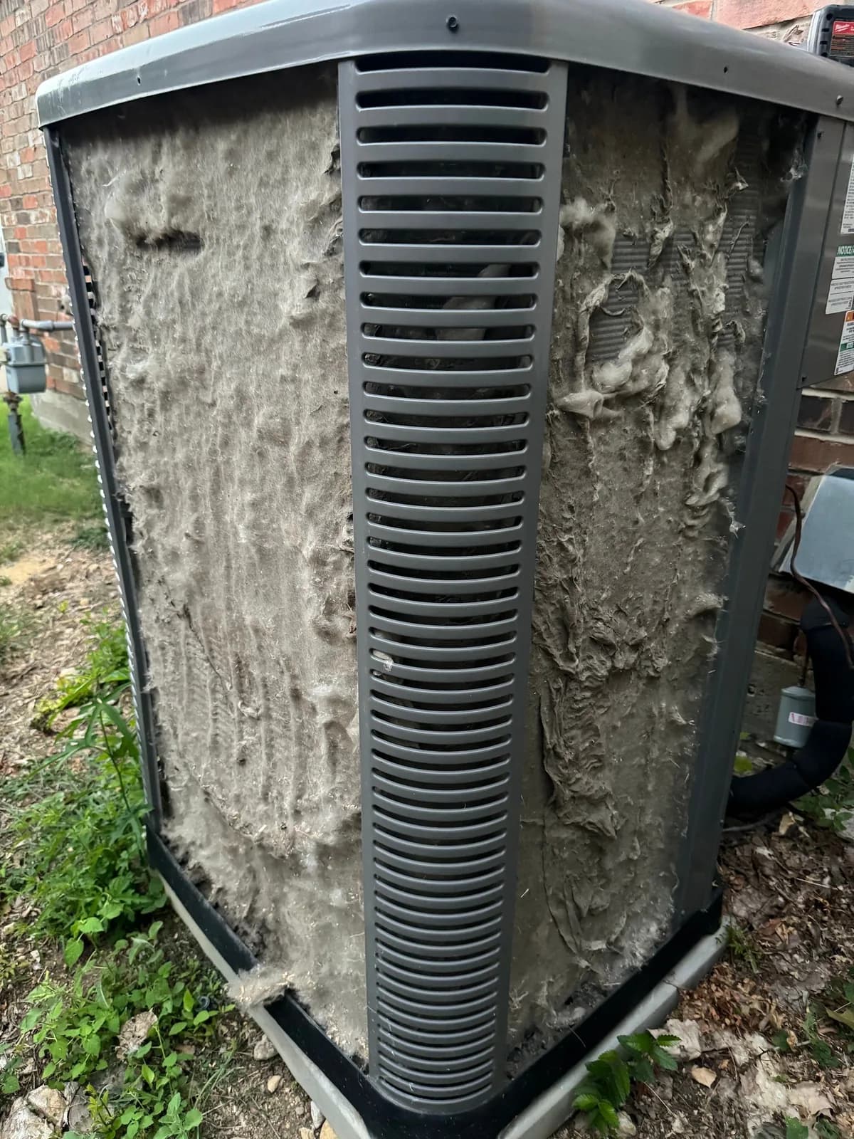 Moore Than Air (Bedford)