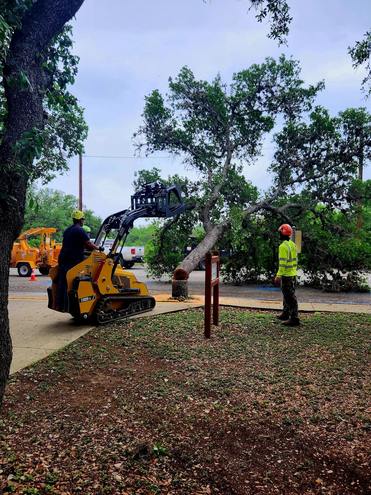 Urban Tree Company