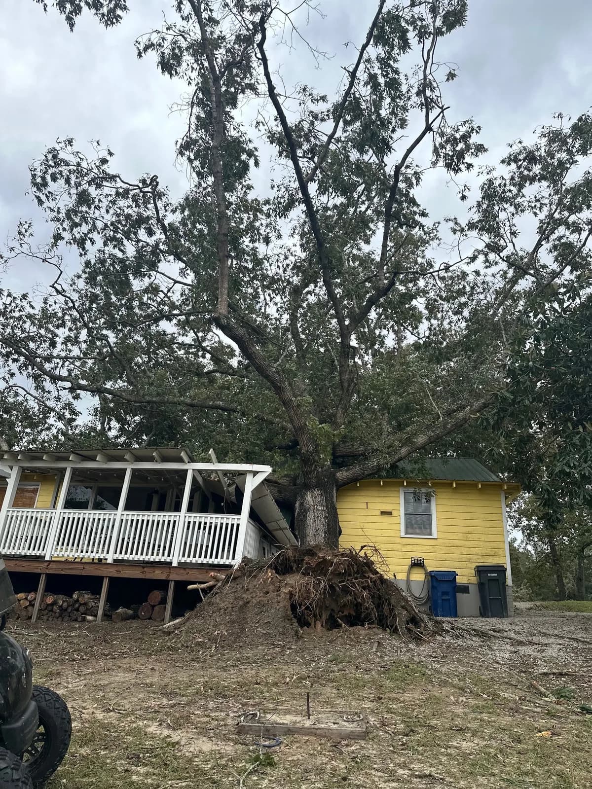 Specialty Tree Care Of Texas LLC