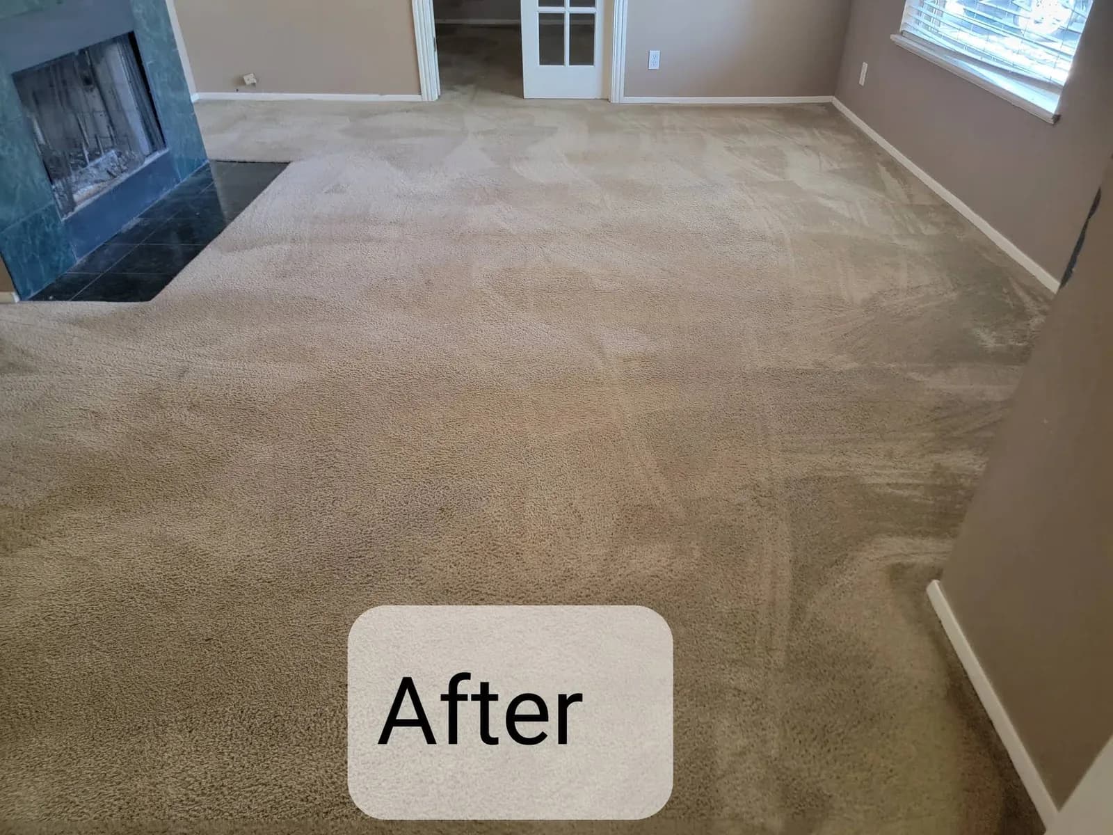 Steve's Carpet Cleaning