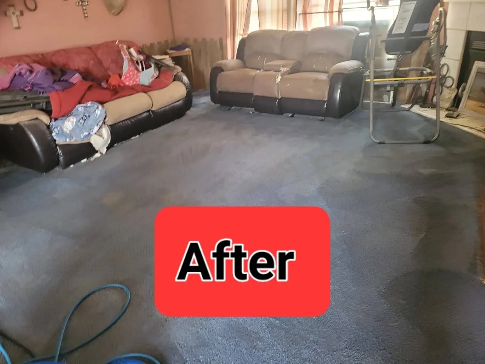 Steve's Carpet Cleaning