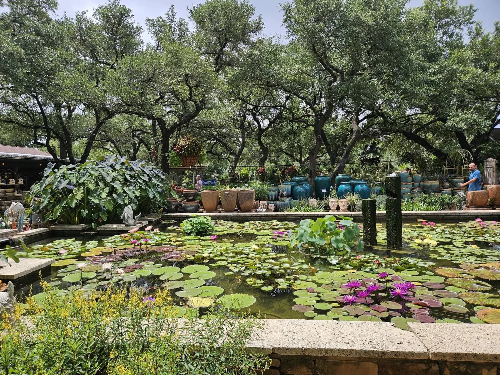 Hill Country Water Gardens & Nursery