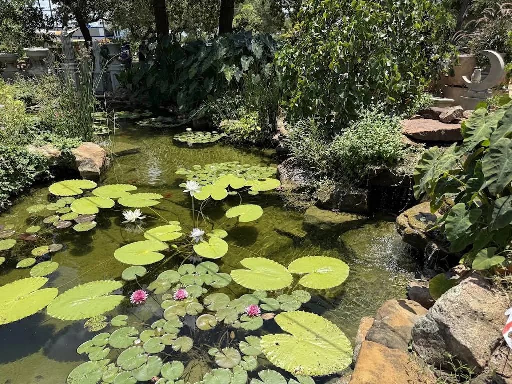 Hill Country Water Gardens & Nursery