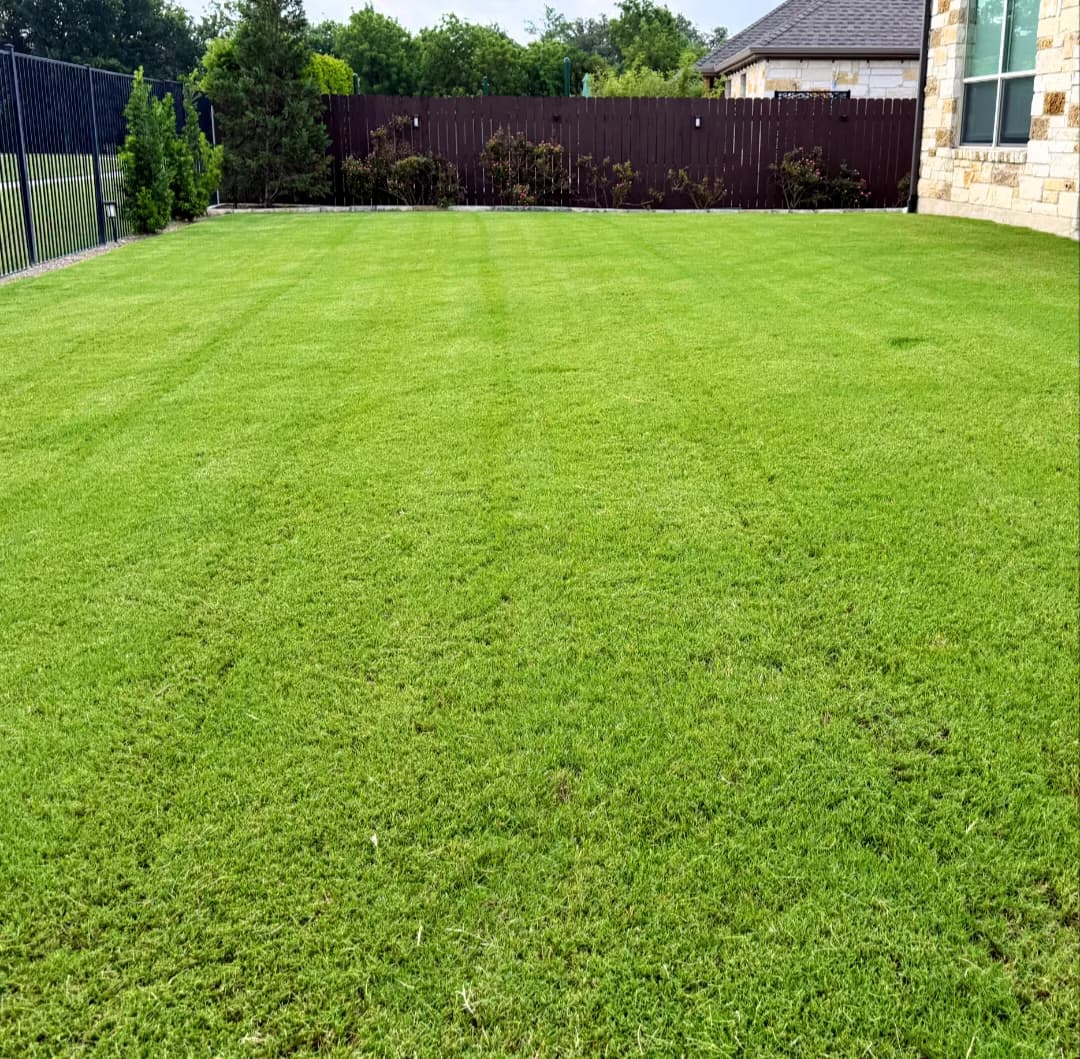 Marshall Lawn Solutions LLC