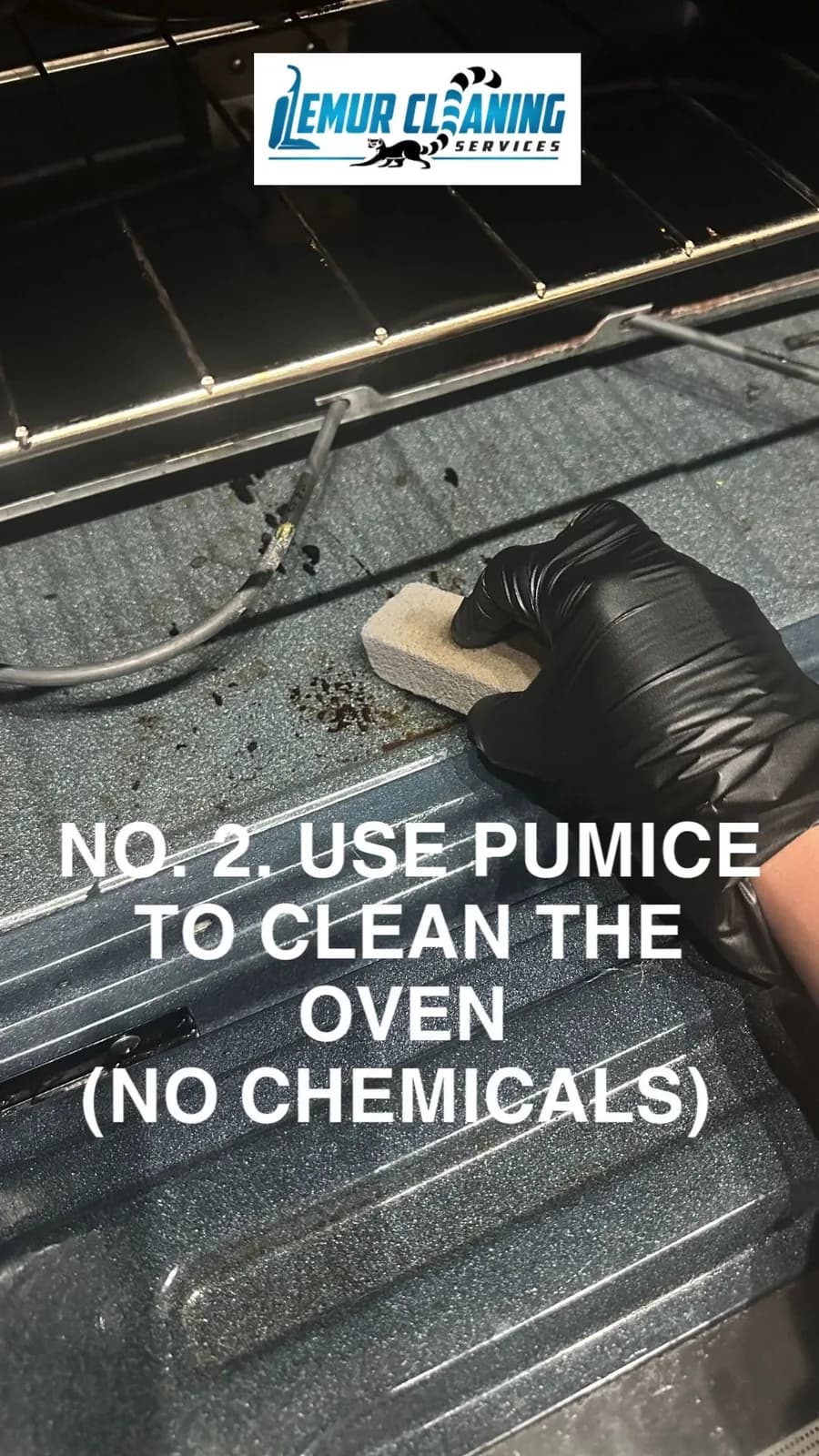 Lemur Cleaning Services, LLC
