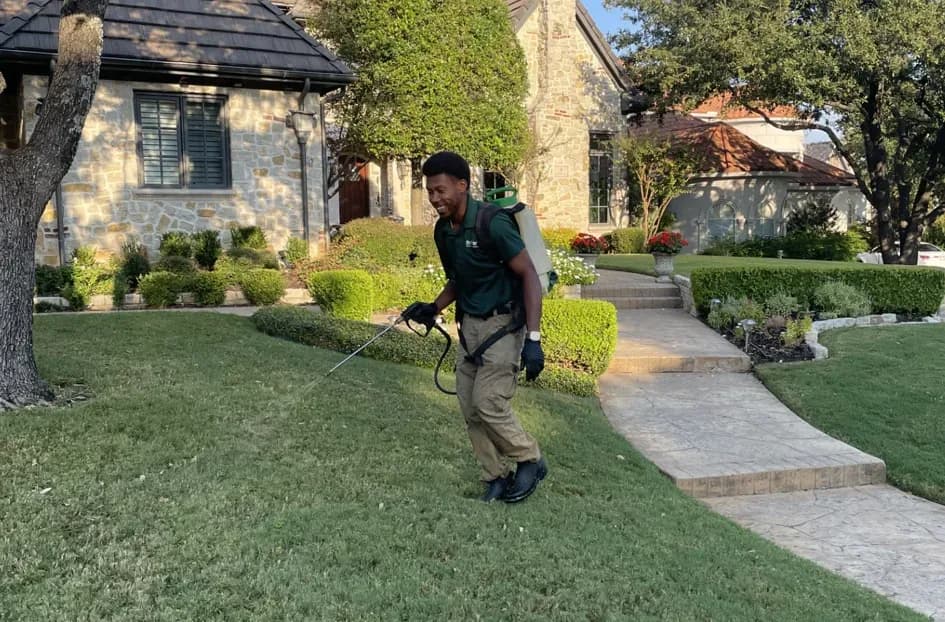 Dr. Green Services