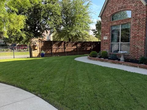 Buffalo Outdoor