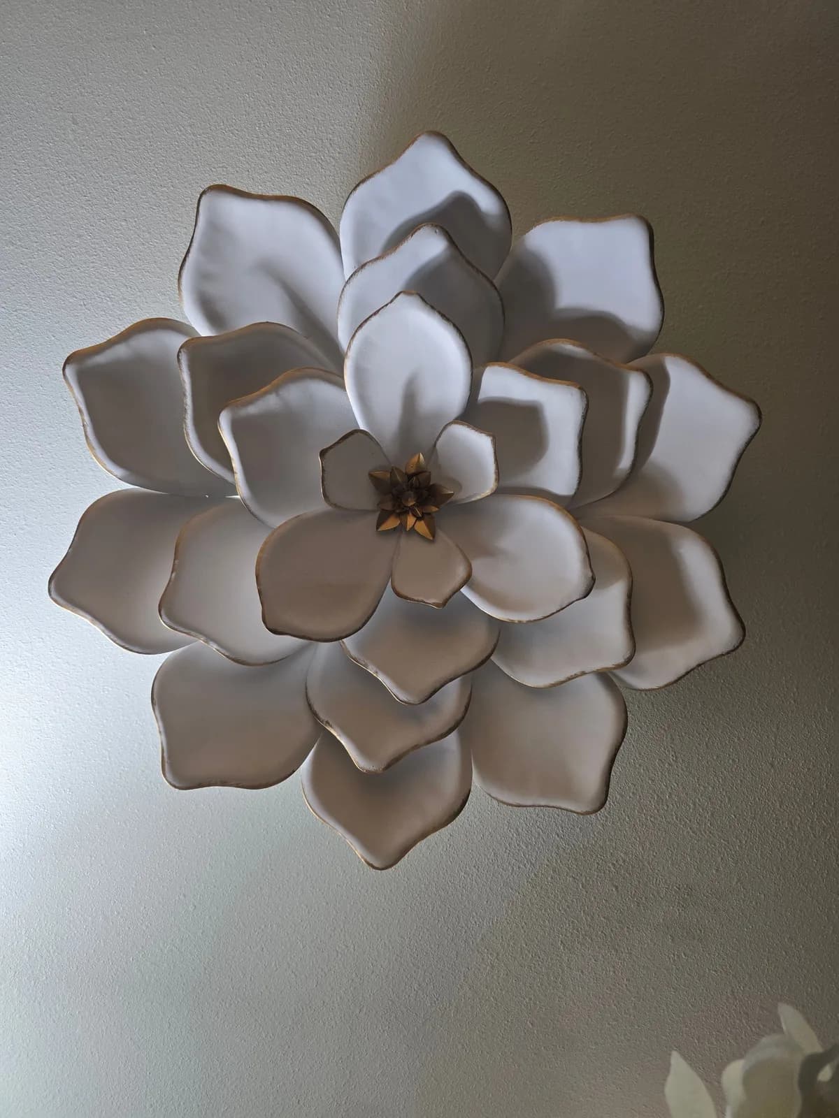 Velvet Magnolia