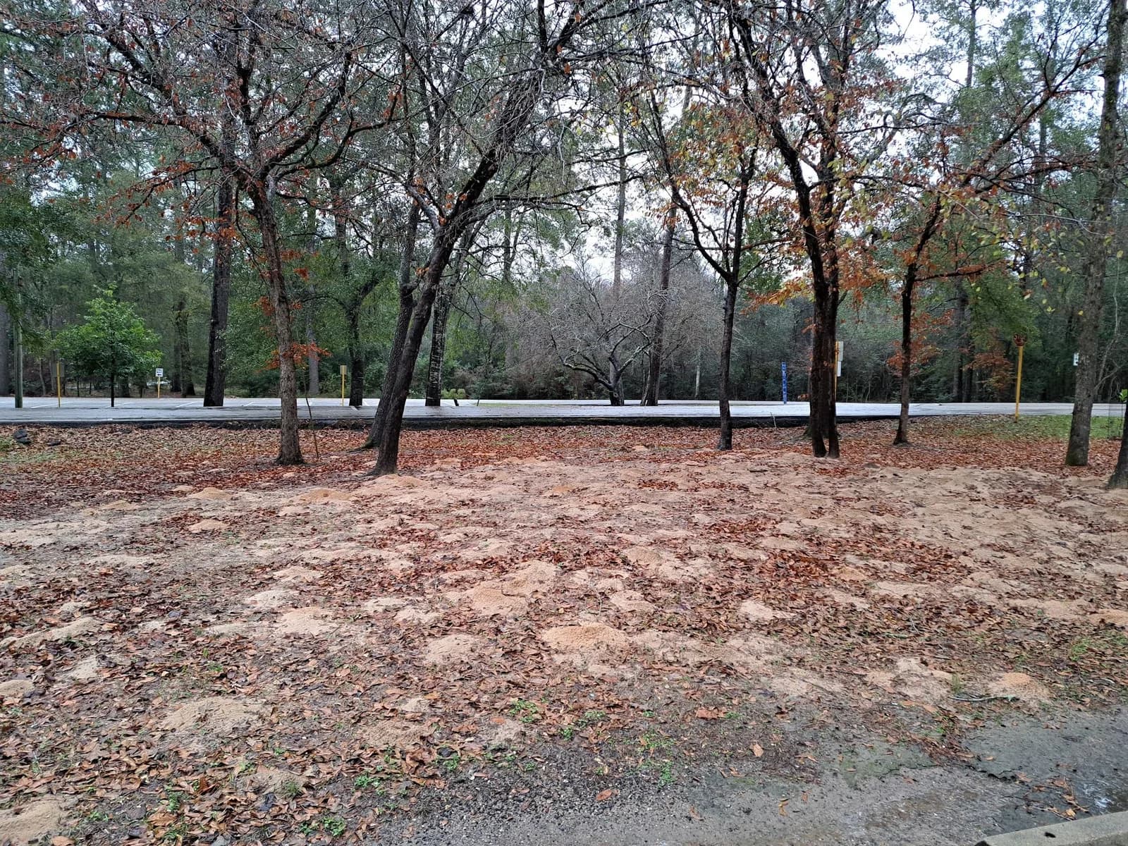 Business photo from Google Maps