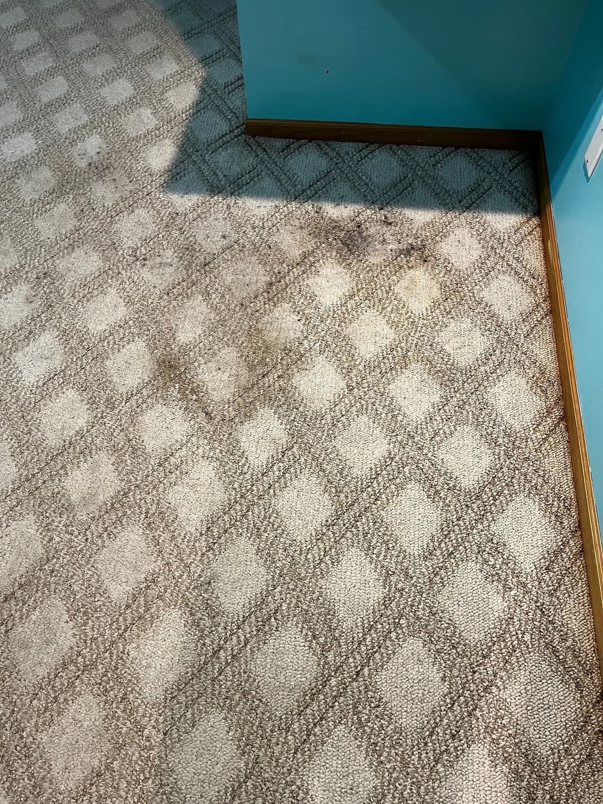 Matthews Quality Carpet Cleaning