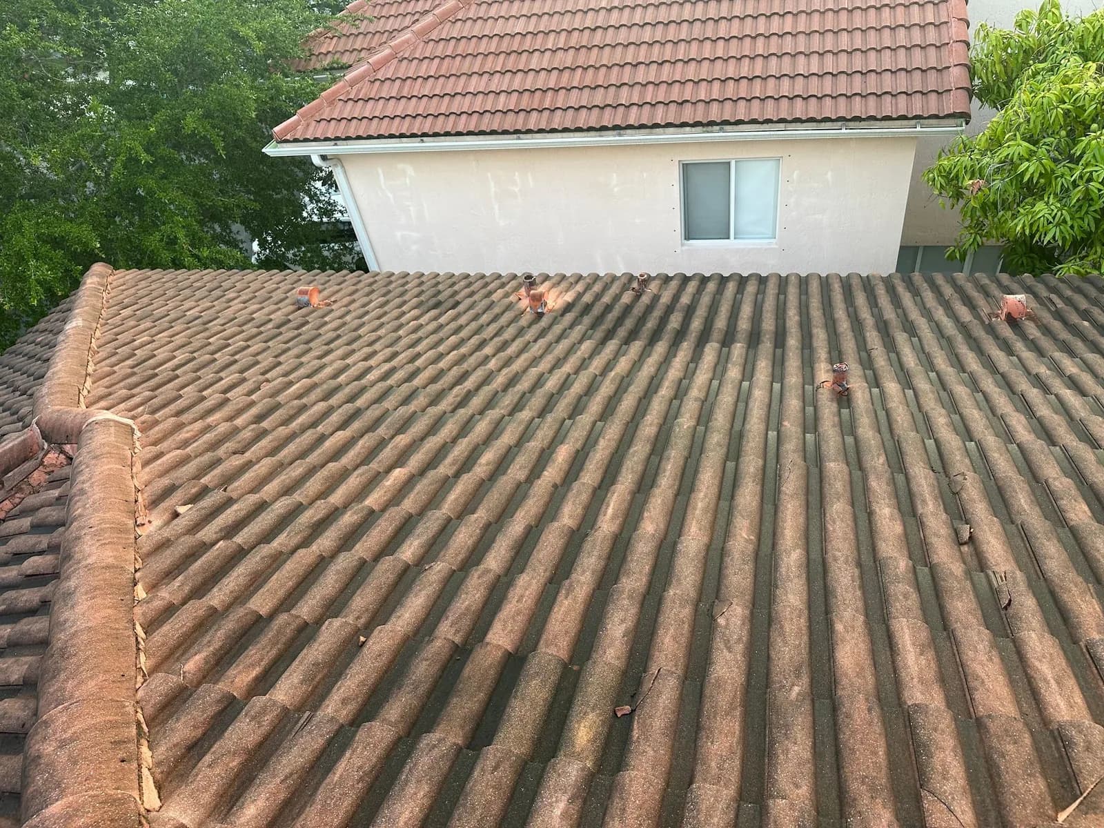 Business photo from Google Maps