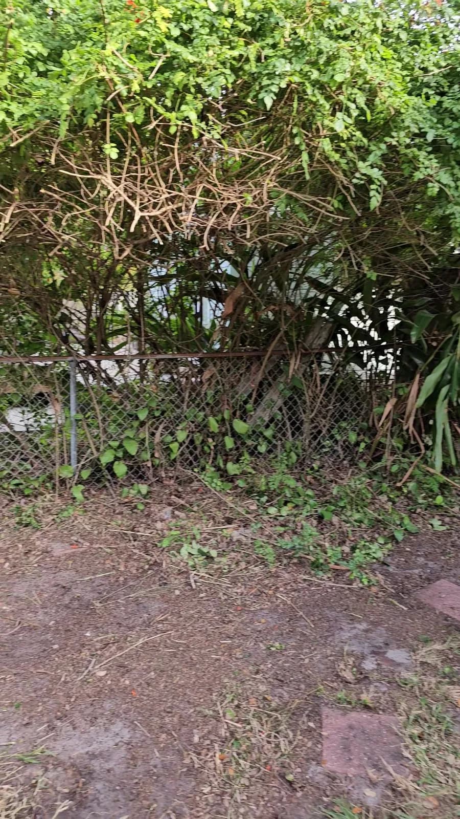 Business photo from Google Maps