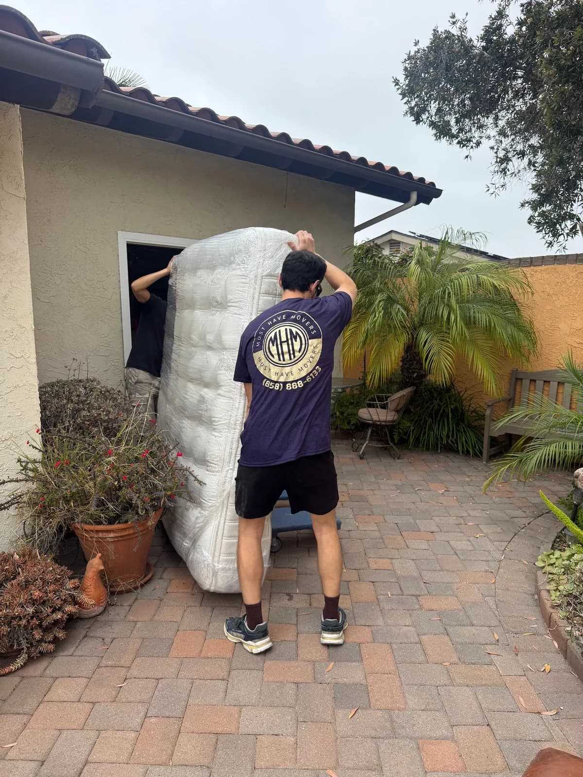 Must Have Movers