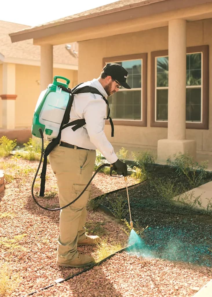 Insight Pest Solutions