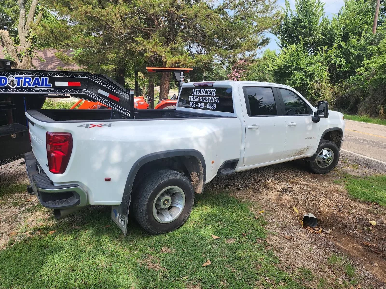 Mercer Tree Service