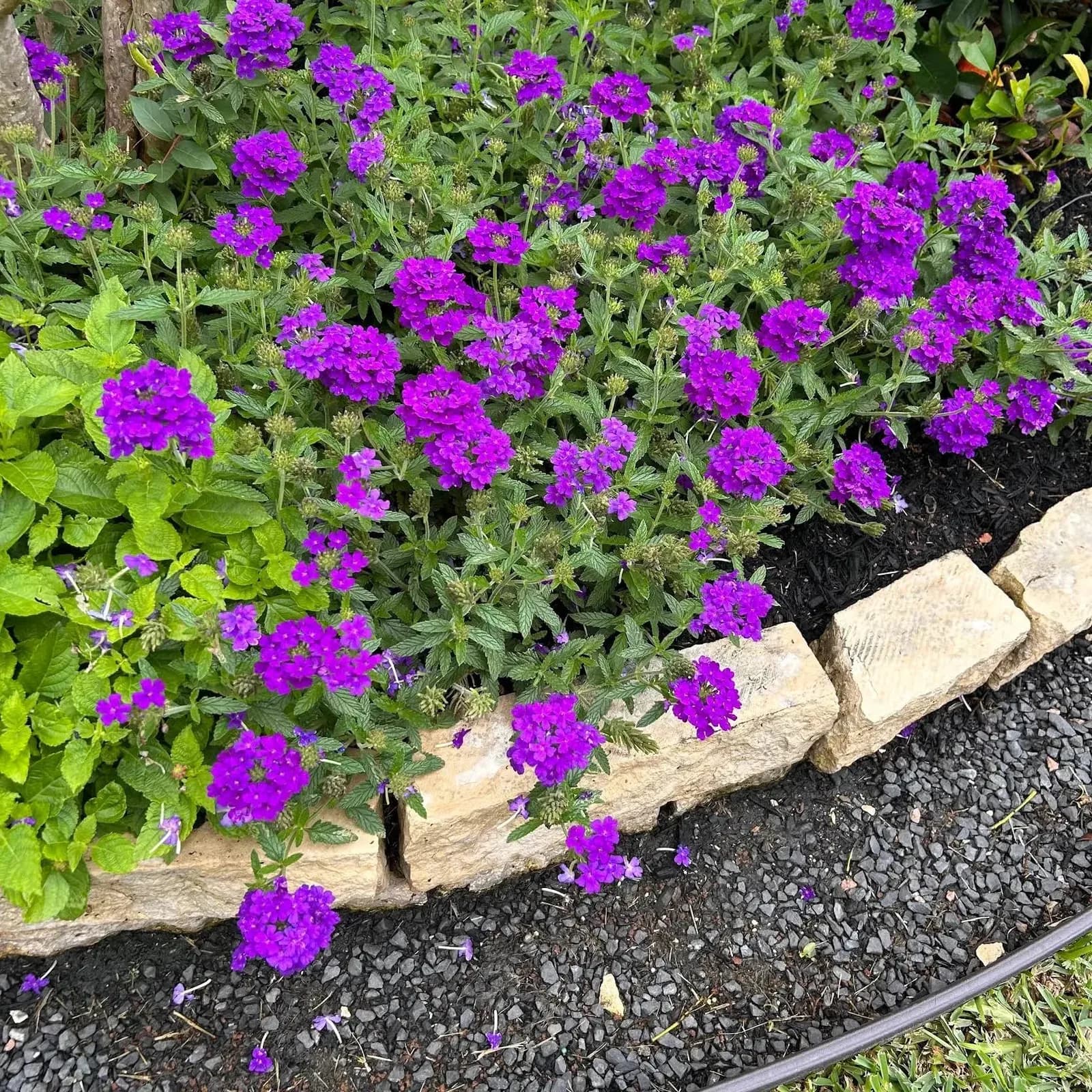 Emerald Lawns - Temple Lawn Care