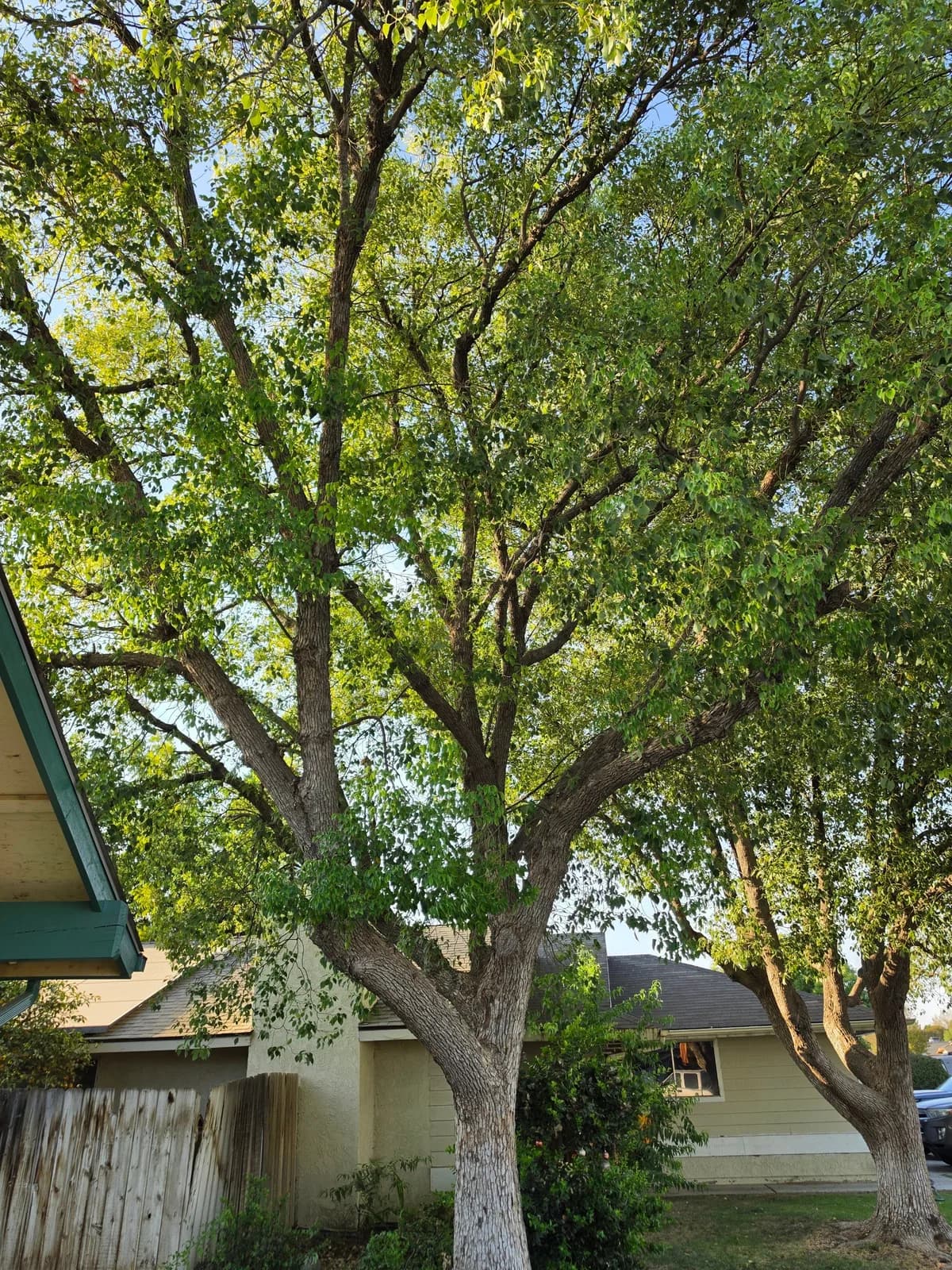 Business photo from Google Maps