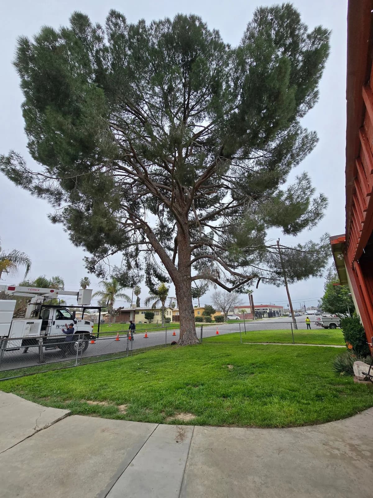 Business photo from Google Maps