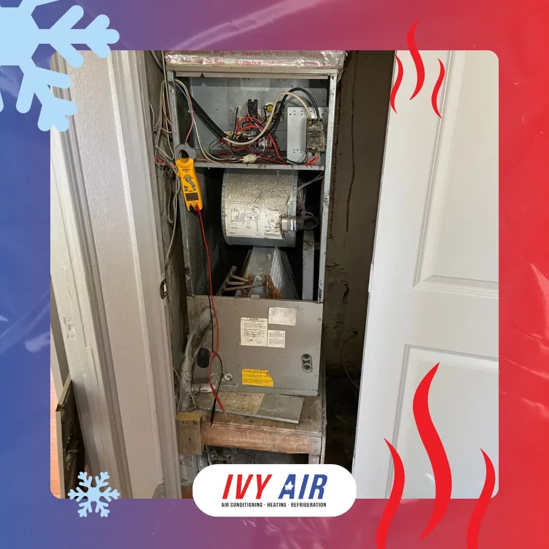 Ivy Air, LLC