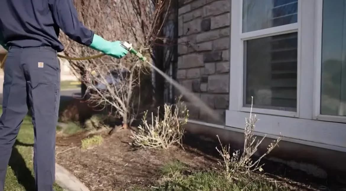 BRD Pest Solutions