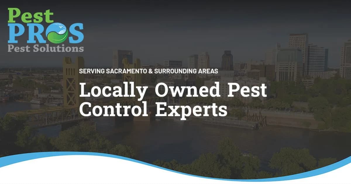 PEST PROS PEST SOLUTIONS