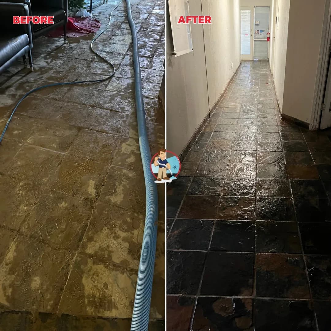 Willing & Able Carpet Cleaning