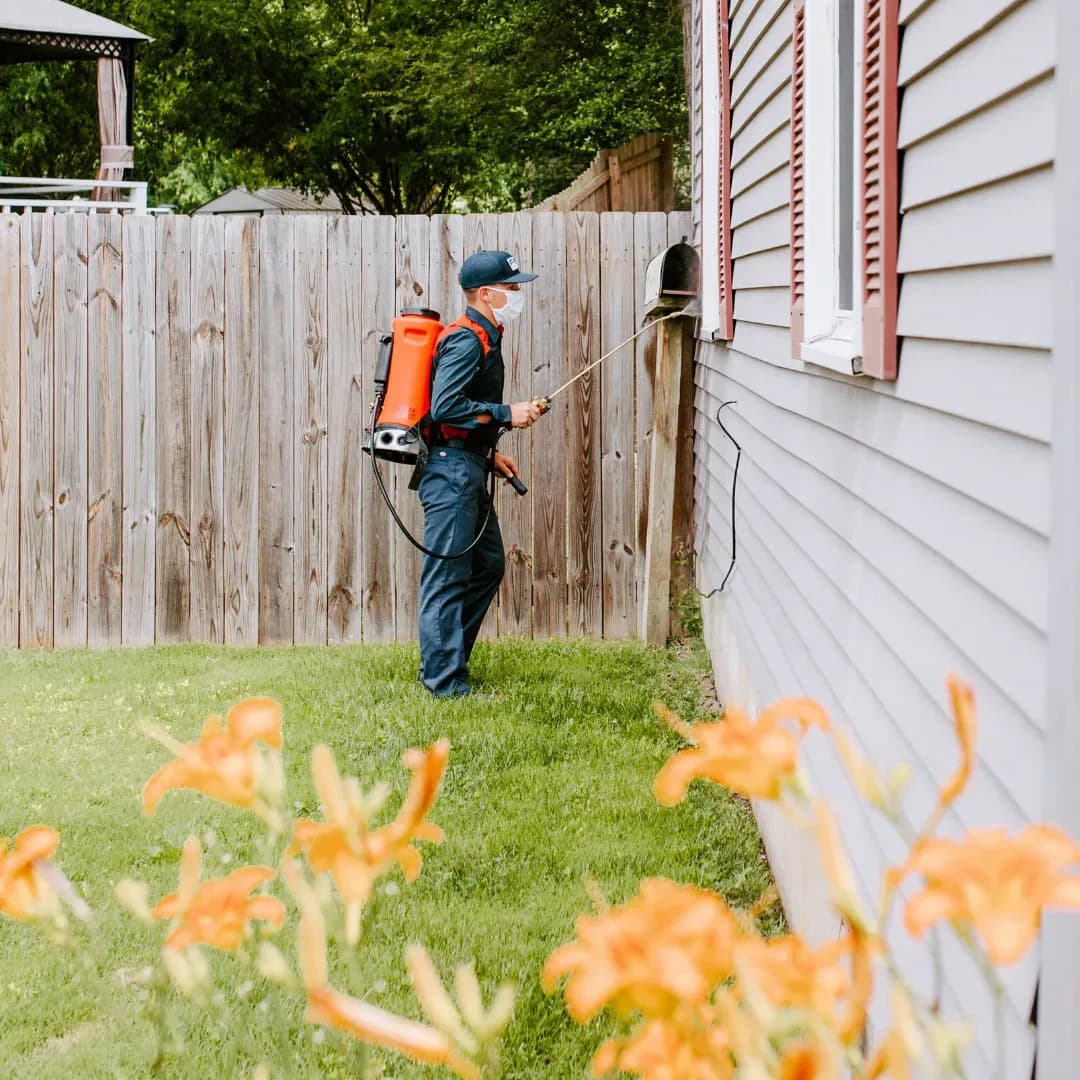 Fox Pest Control Southlake