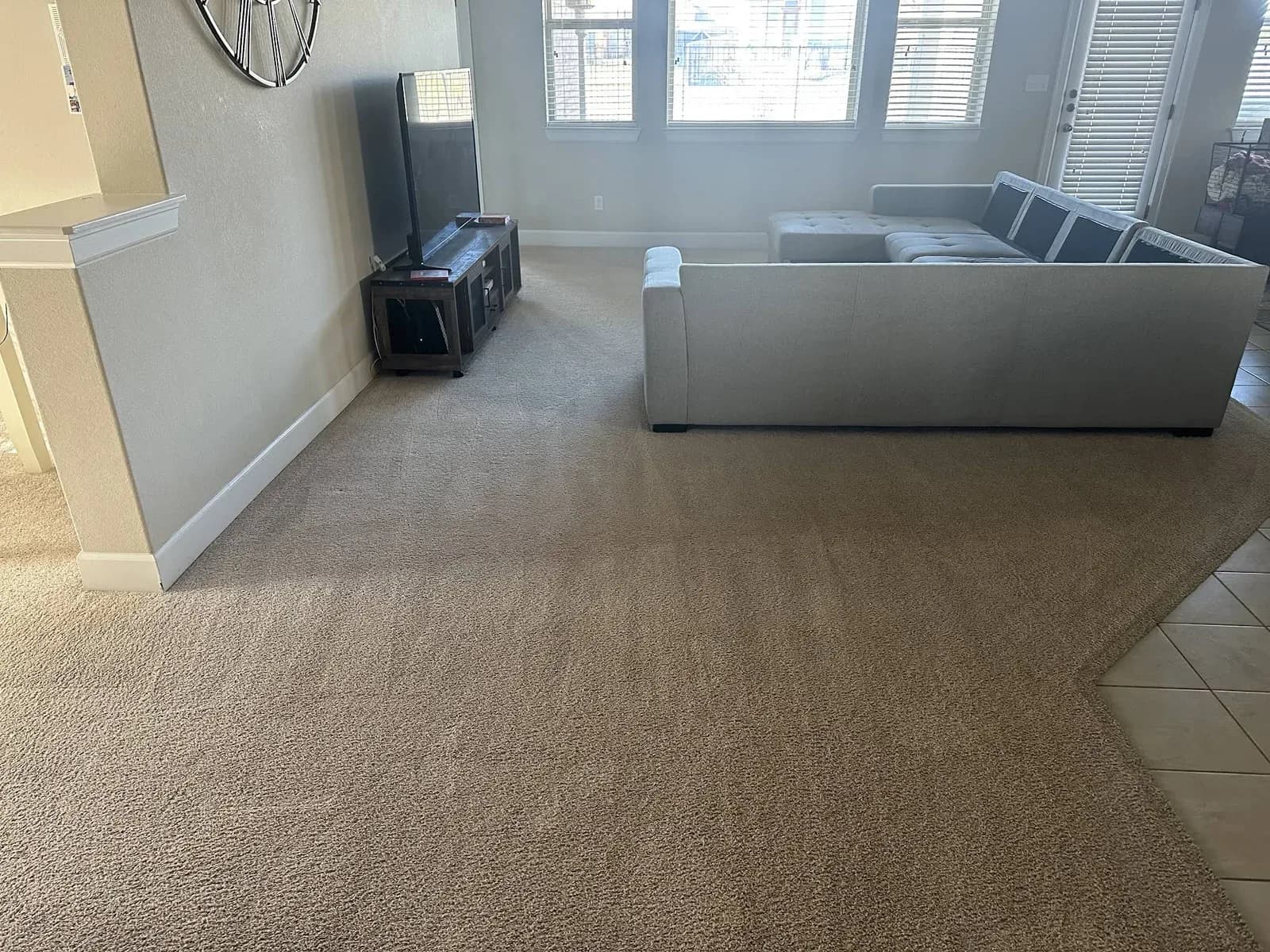 Pure Heaven Carpet & Upholstery Cleaning