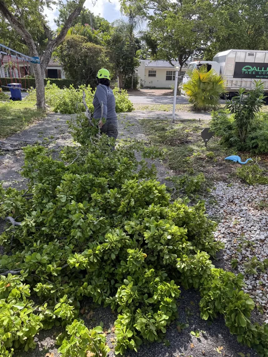 Business photo from Google Maps
