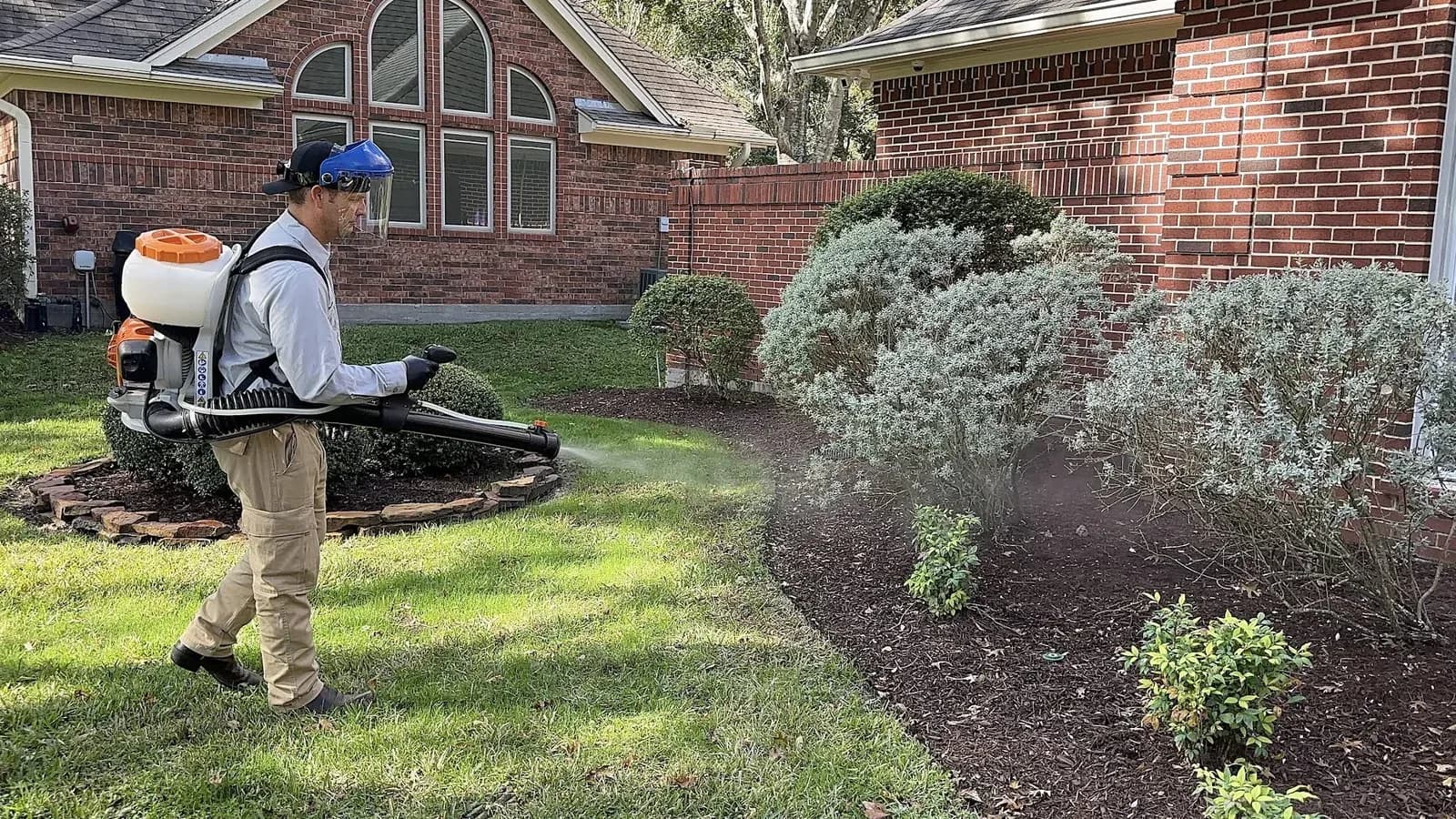 Preventive Pest Control