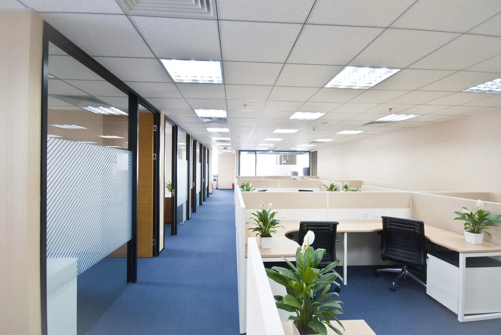 Business photo from Google Maps