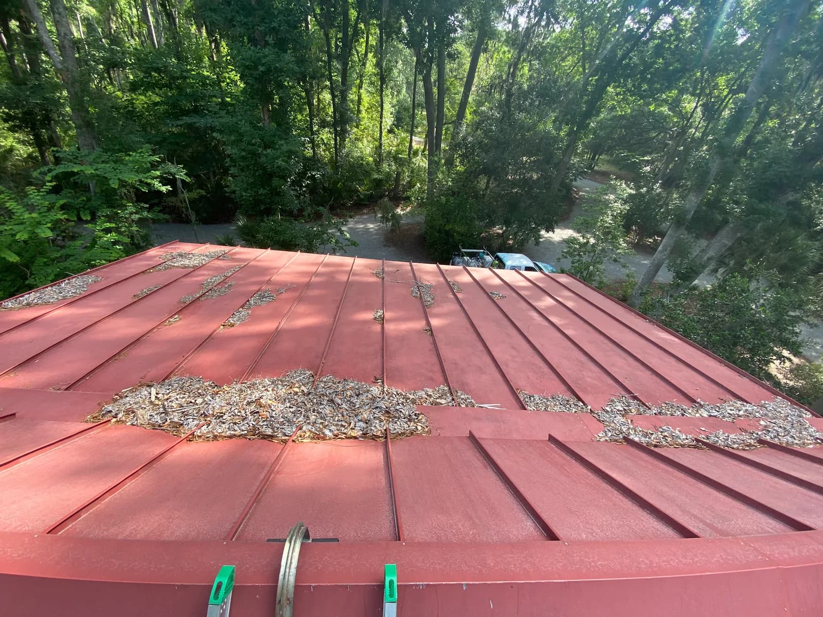 Southern Style SoftWash