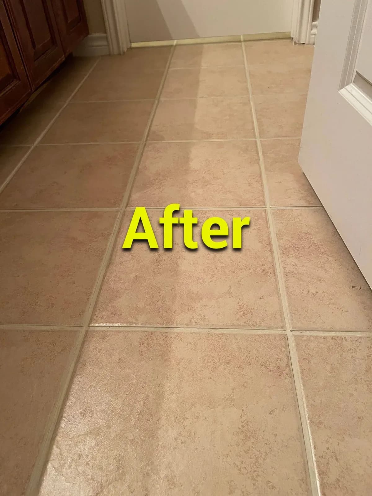 Go Squeaky Clean LLC