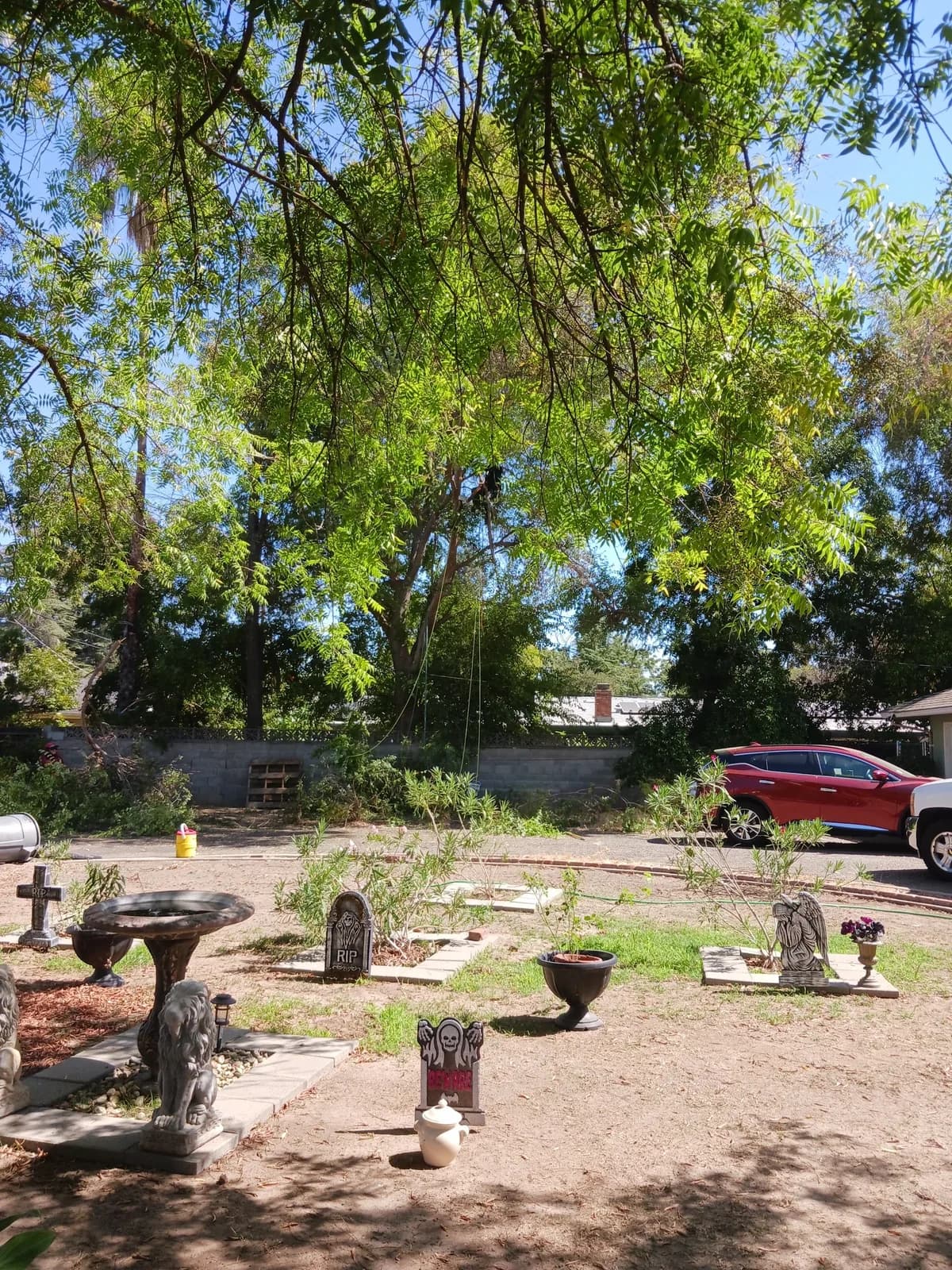 Business photo from Google Maps