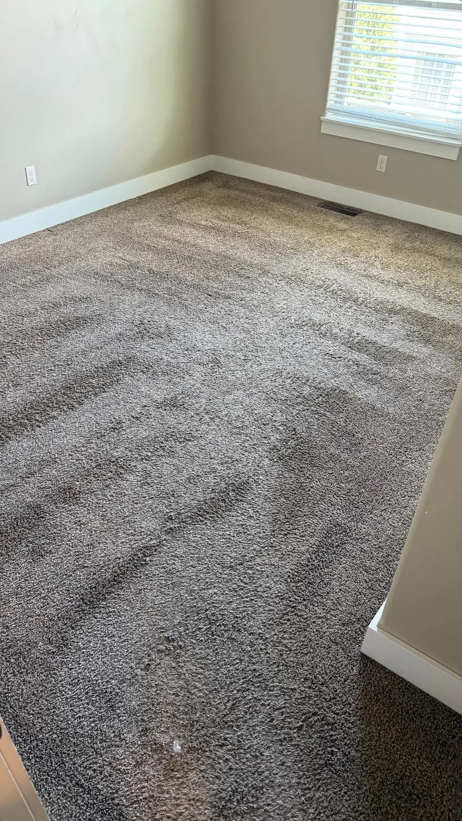 Pro Carpet Cleaners