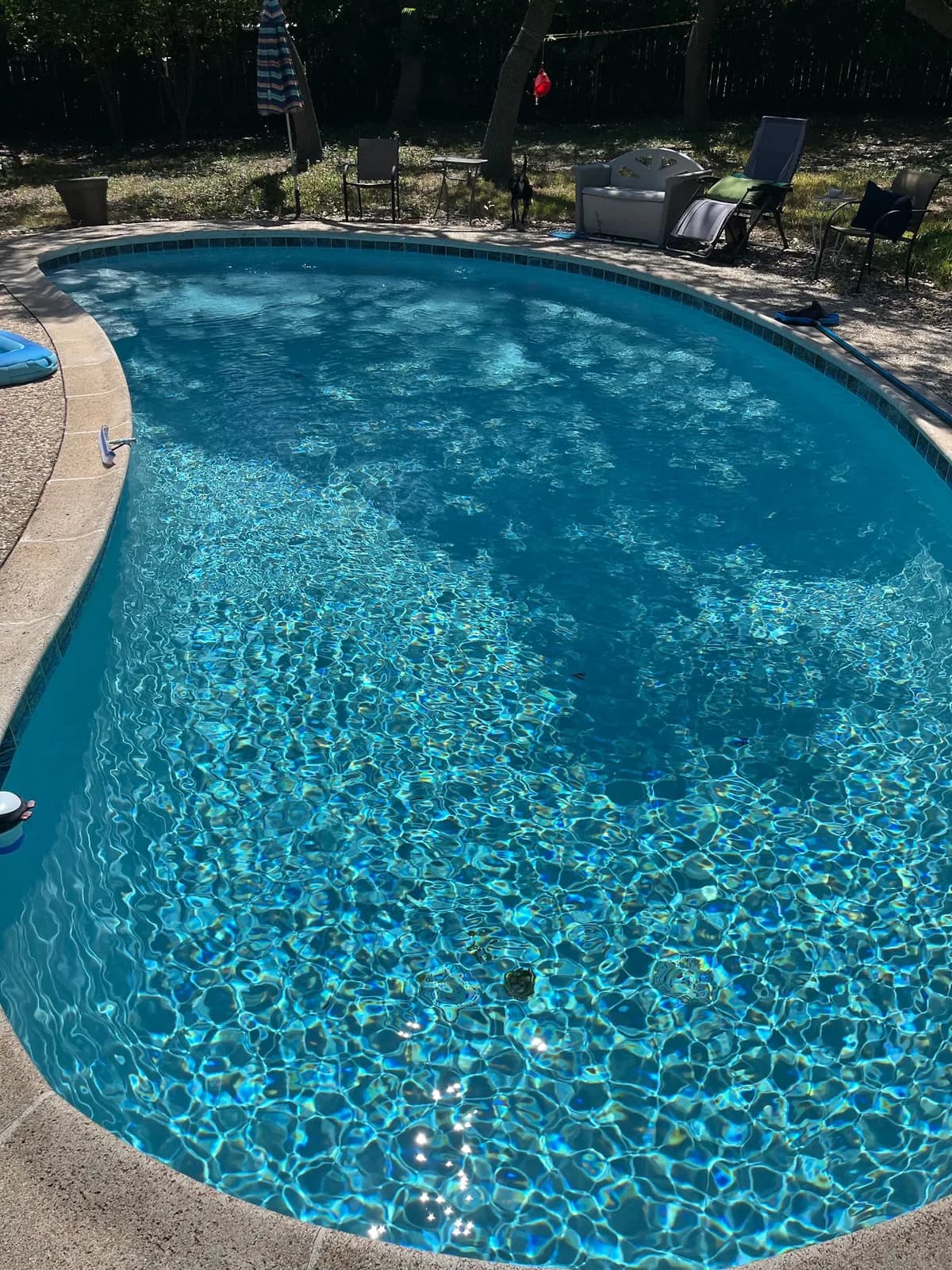 ASP - America's Swimming Pool Company of Schertz