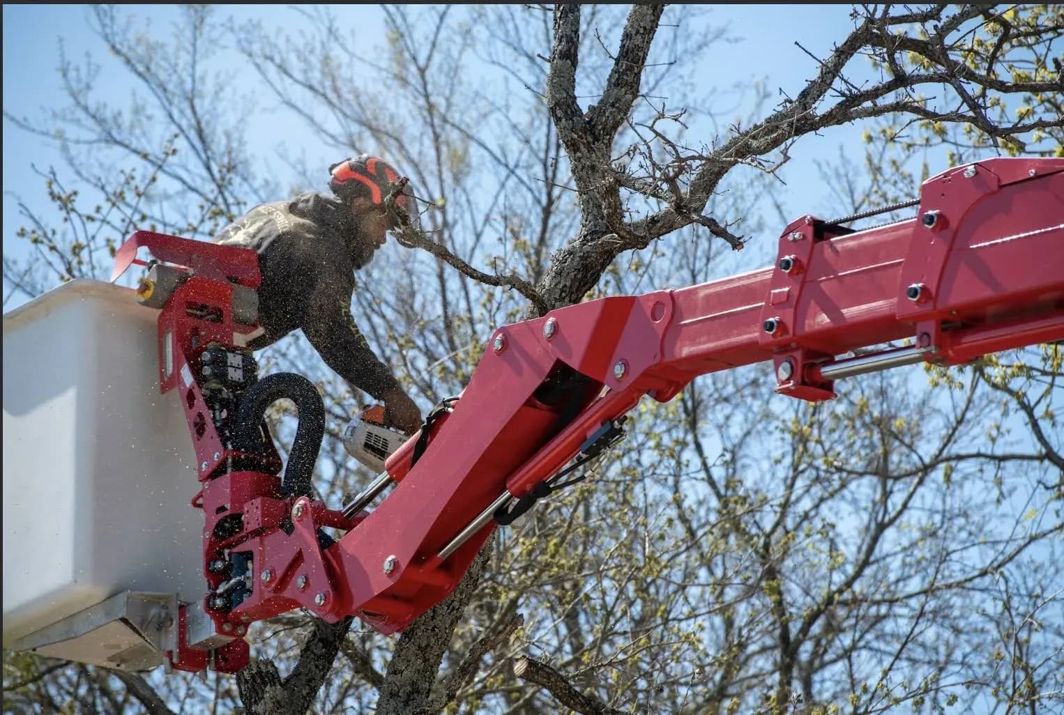 Clean Edge Tree Service & Removal, LLC