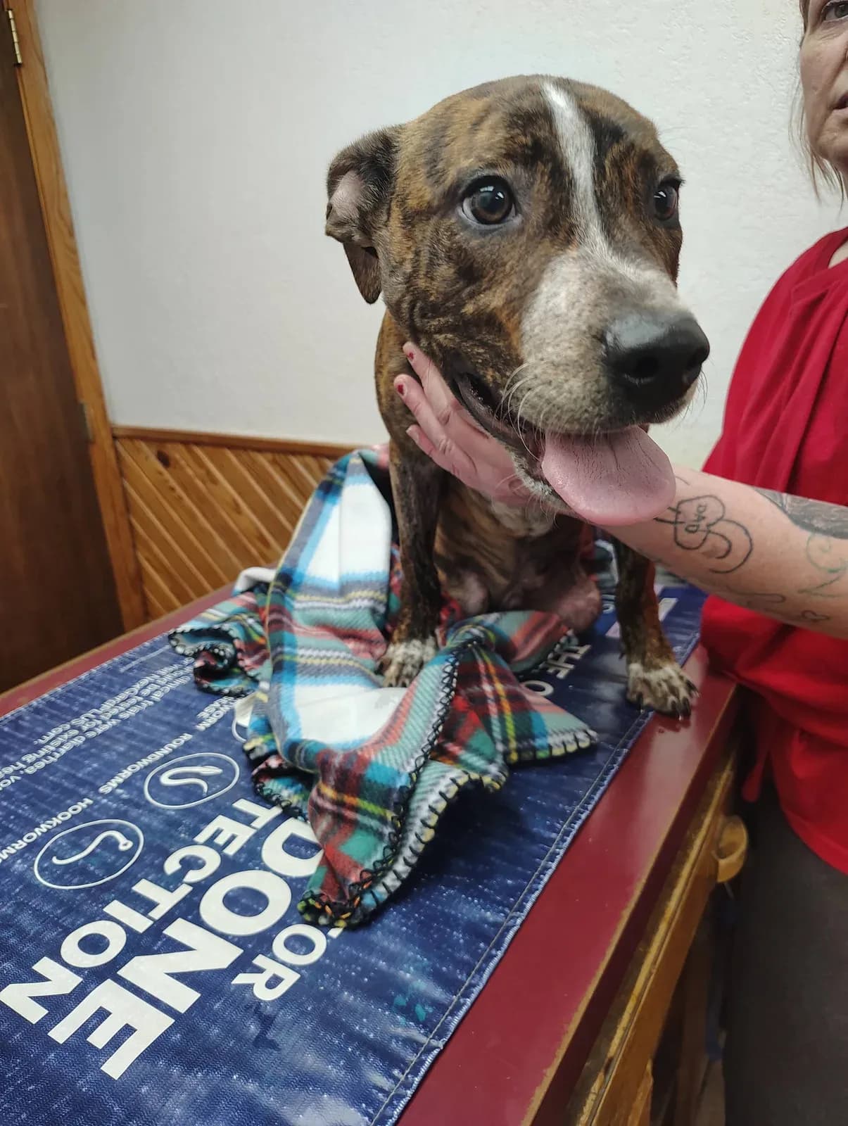 Mitchell County Veterinary Clinic