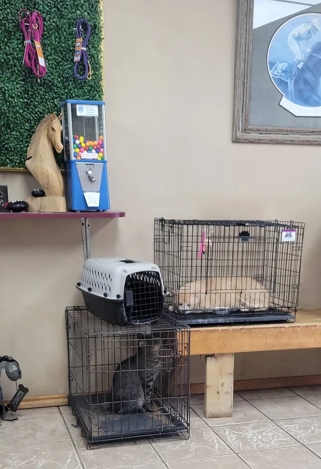 Mitchell County Veterinary Clinic