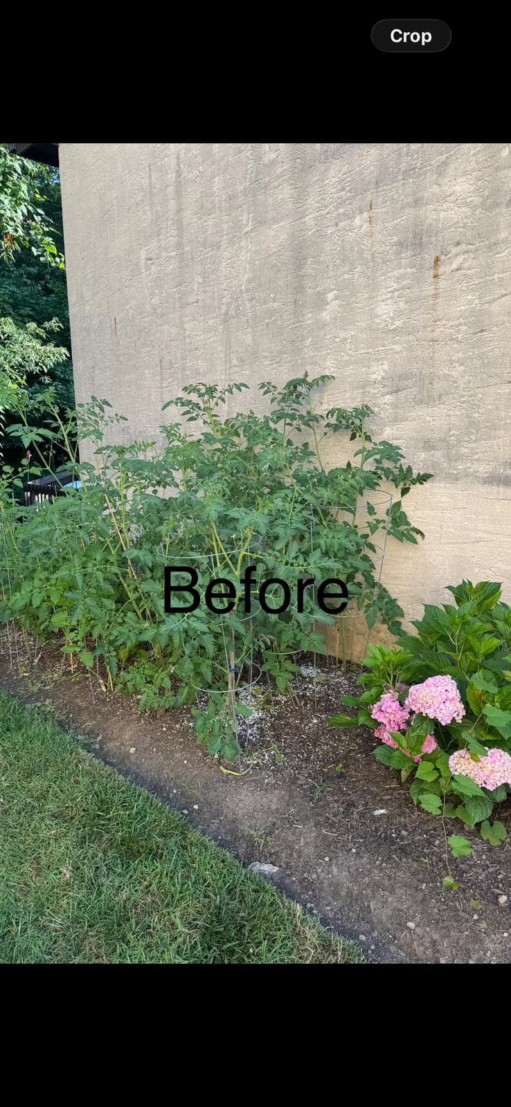 Liberty Pressure Washing LLC