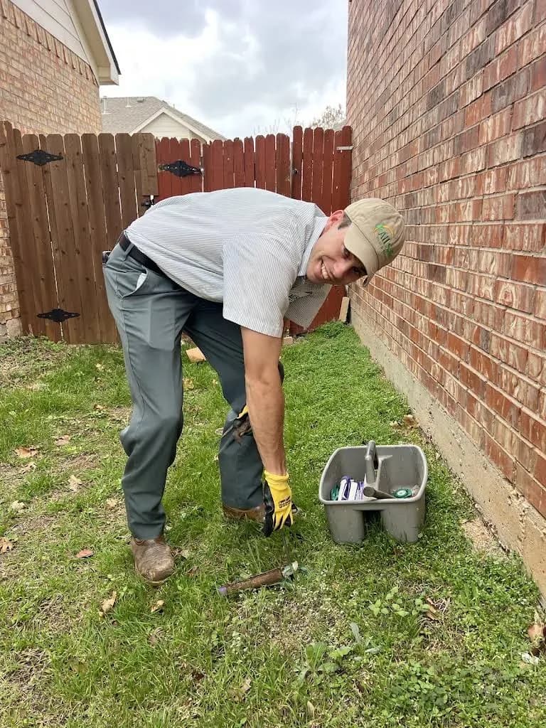 All-Safe Pest & Termite
