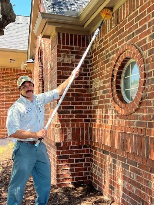 All-Safe Pest & Termite