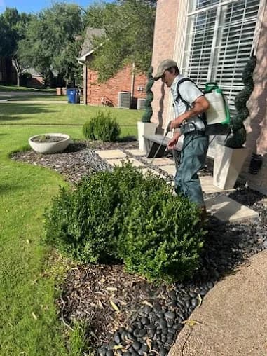 All-Safe Pest & Termite
