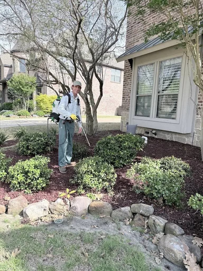 All-Safe Pest & Termite