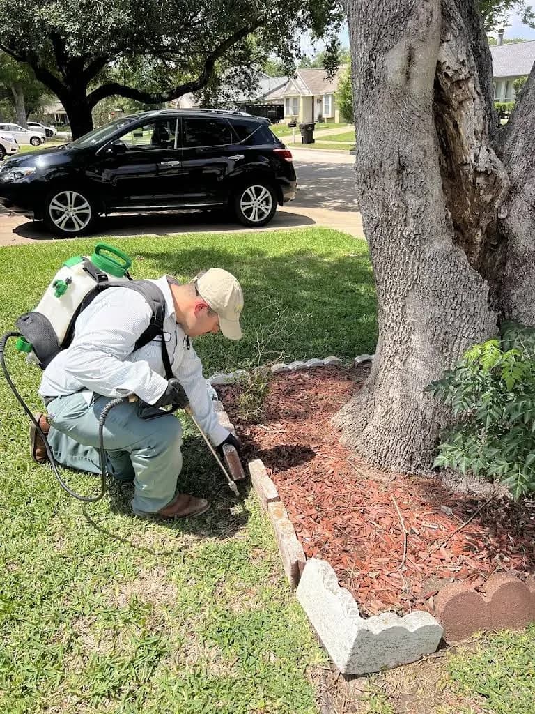 All-Safe Pest & Termite