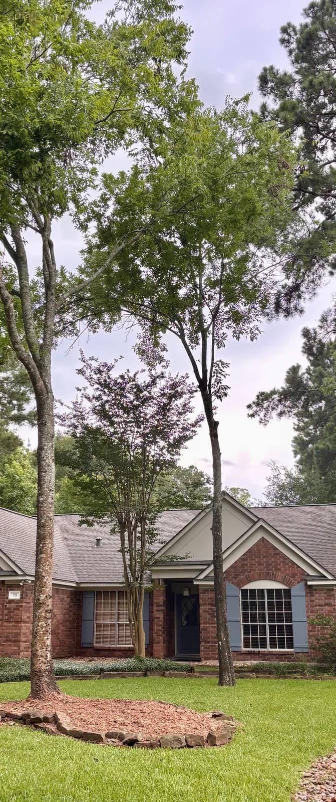 North Lake Tree Service