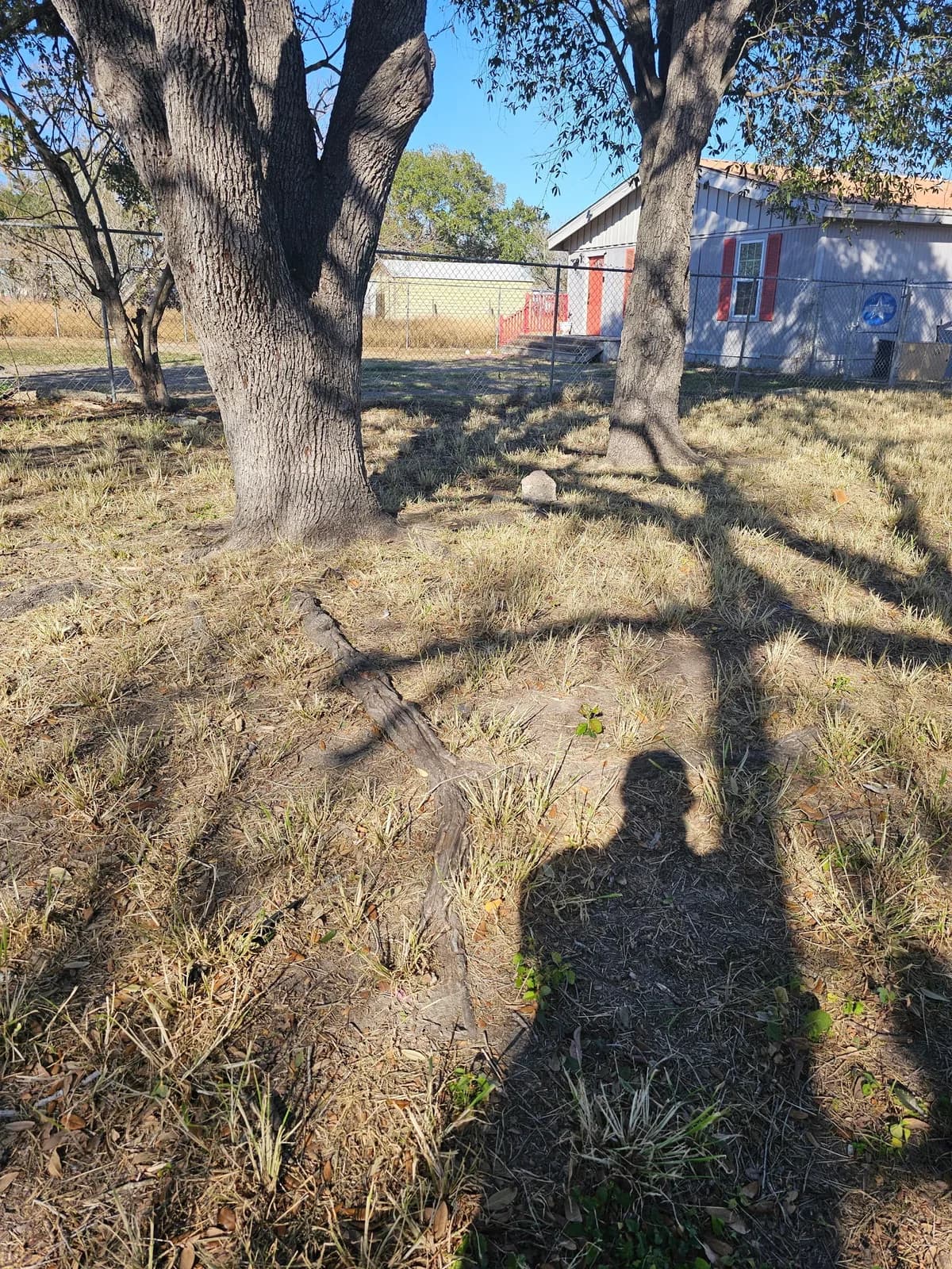 Business photo from Google Maps