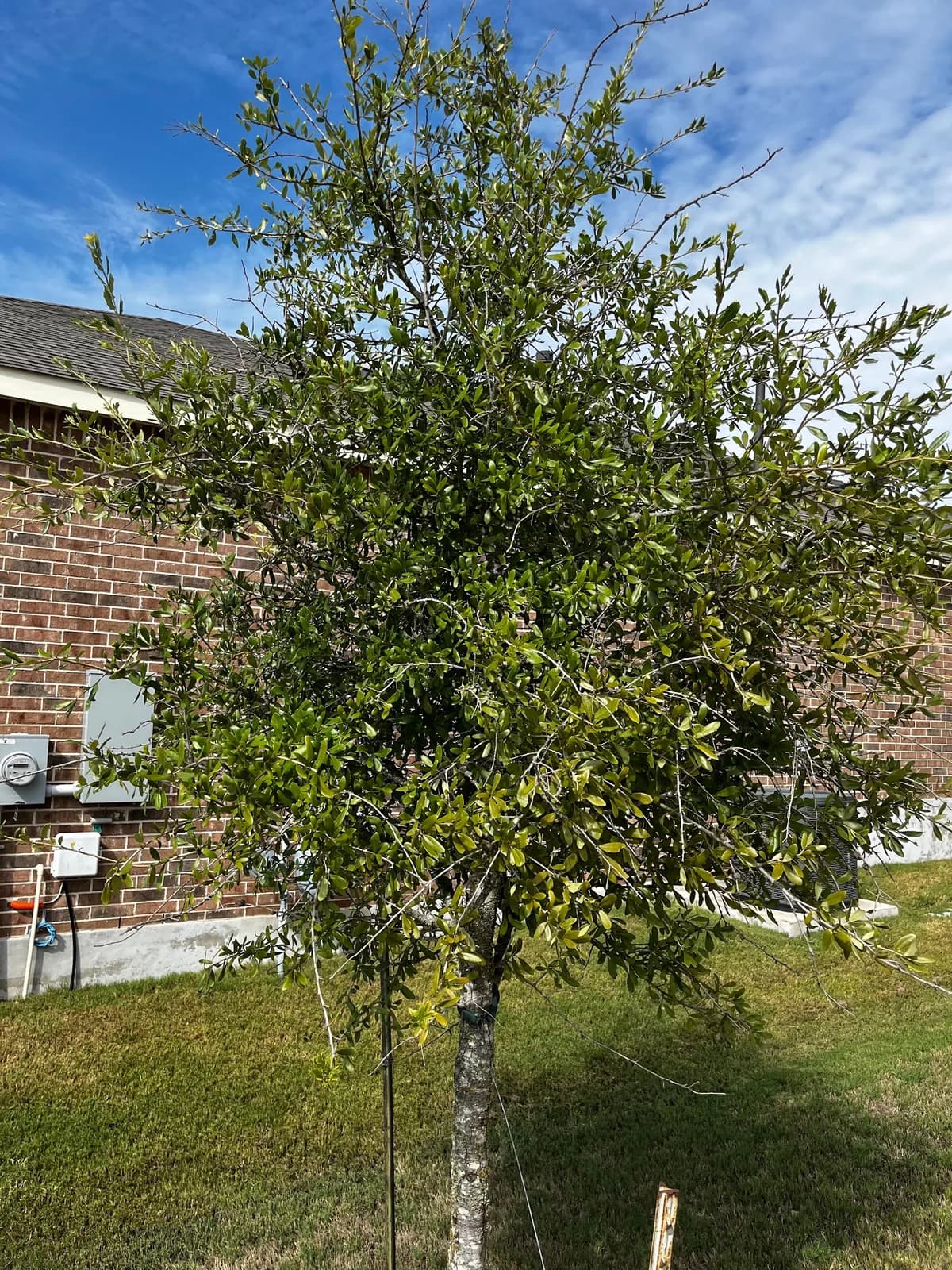 Business photo from Google Maps