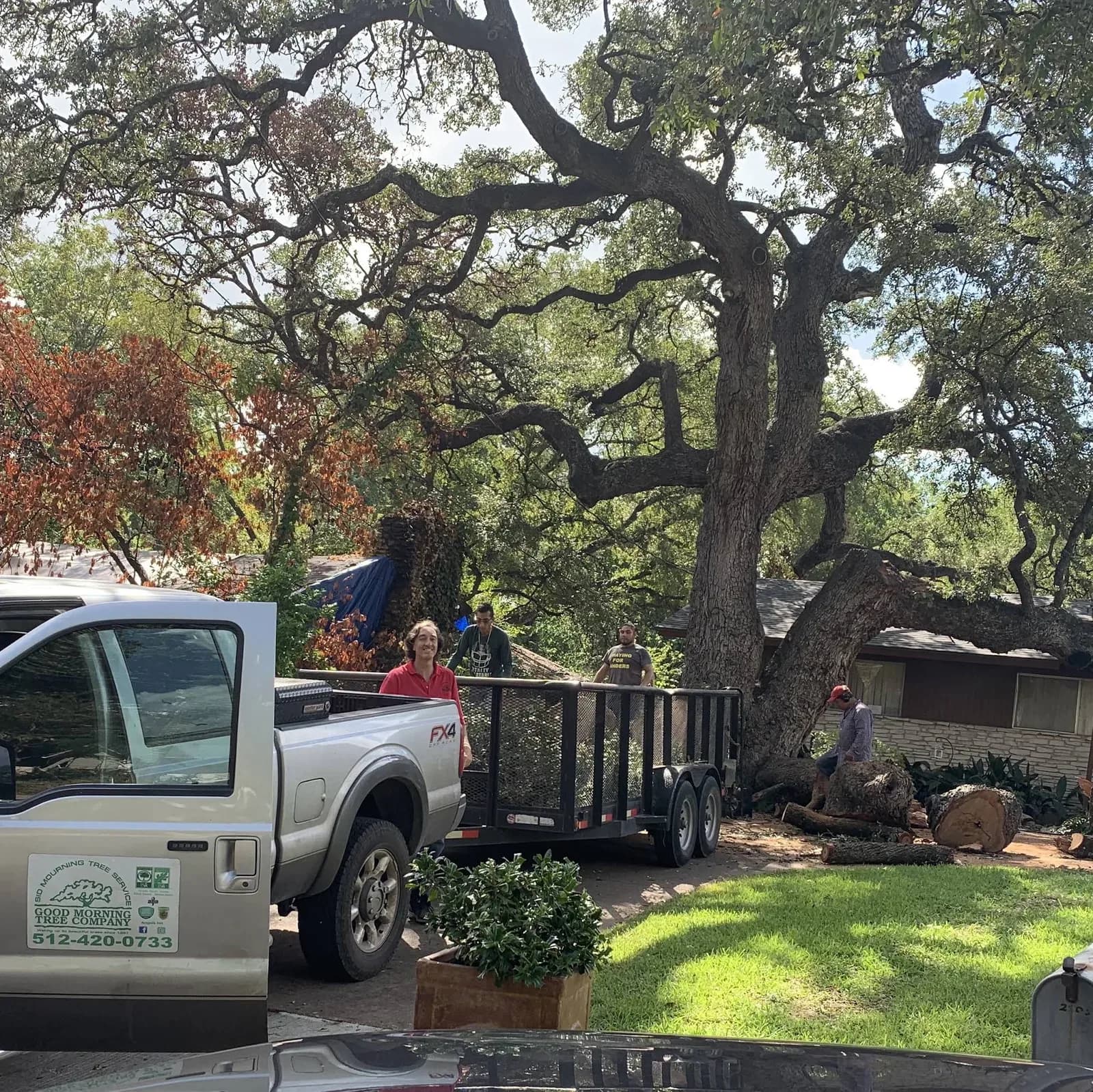 Sid Mourning Tree Service