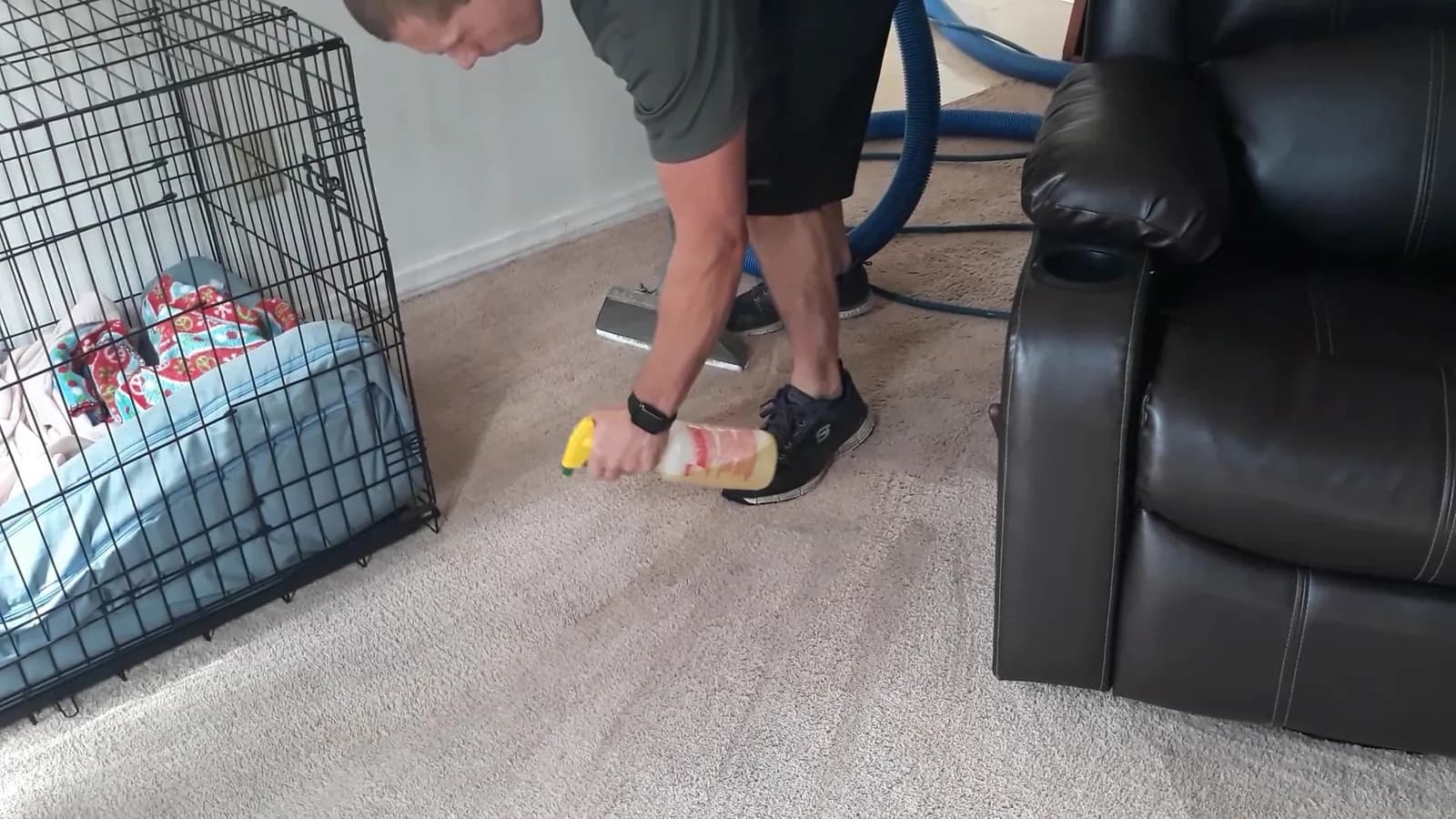 Knockout Carpet Cleaning